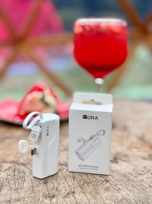 POWER BANK 4.500 MAH 1 HORA GAR262