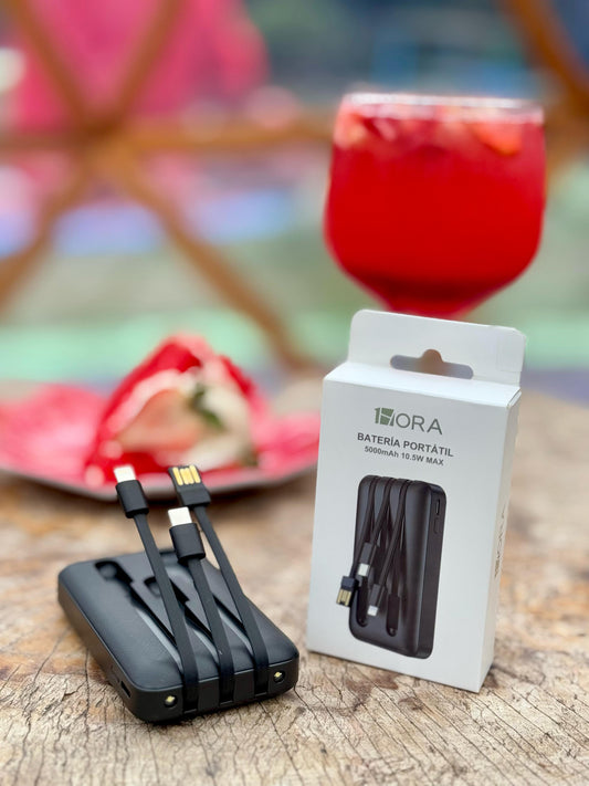 POWER BANK 5.000 MAH 1 HORA GAR261